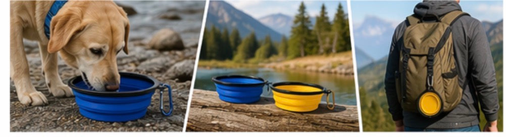 Collapsible Dog Bowl 2-Pack (Blue & Yellow)